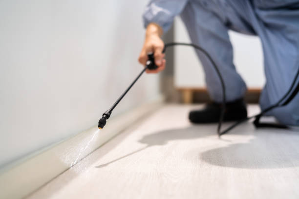 Licensed Pest Control service in Clinton, LA - Show Me Pest Control